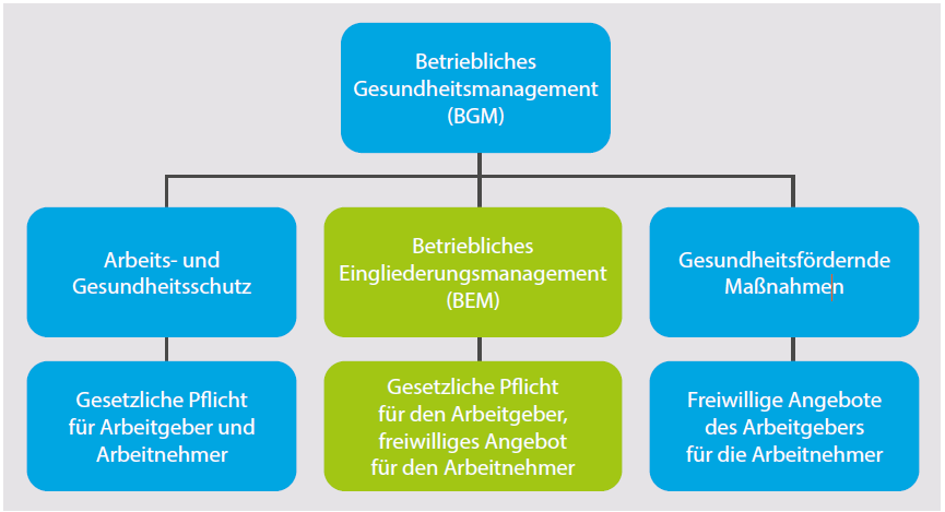 Die einzelnen Bausteine des betrieblichen Gesundheitsmanagements. Das BEM ist einer dieser Bausteine.